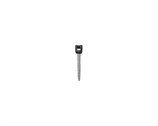 Ha Coated Monoaxial Screw - Titanium