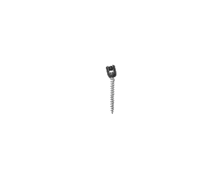 Ha Coated Polyaxial Screw - Titanium