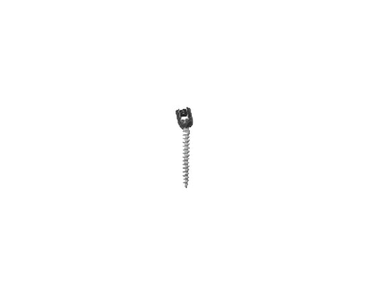 Ha Coated Polyaxial Screw - Titanium