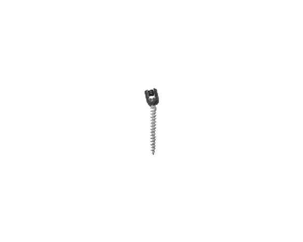 Ha Coated Polyaxial Screw - Titanium