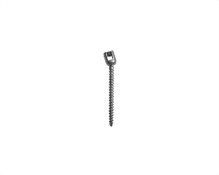 Iliac Screw - Titanium