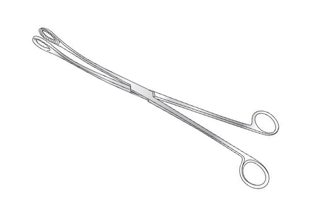 Forceps à ovules Keily courbés Image secondaire du produit