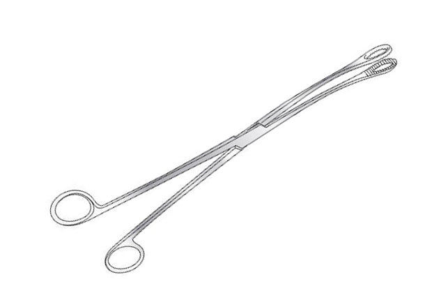 Keily Ovum Forceps Curved