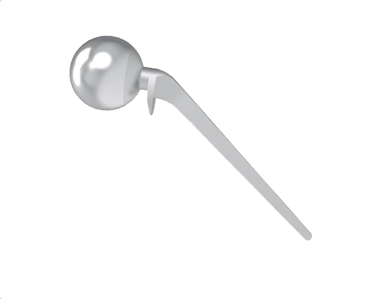 Lazcano Hip Prosthesis Stainless Steel Hlavní obrázek produktu