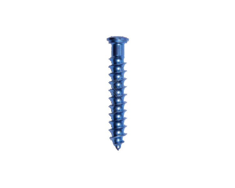 Low Profile Cancellous Screw 6.5mm - Titanium