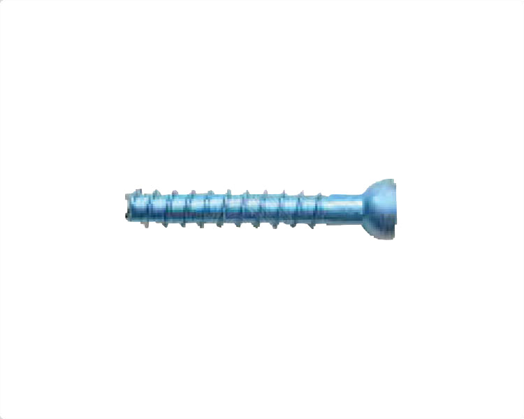 Low Profile Cancellous Screw Titanium