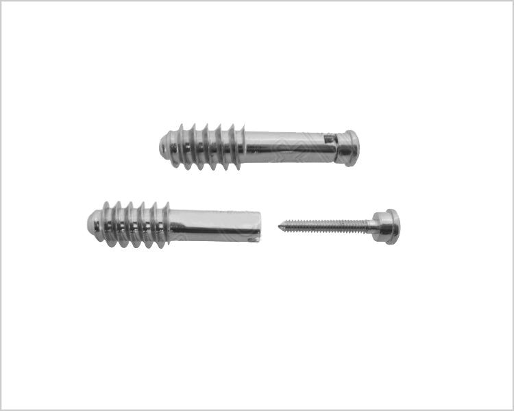 Pediatric Lag Screw with Compression Screw Hlavní obrázek produktu