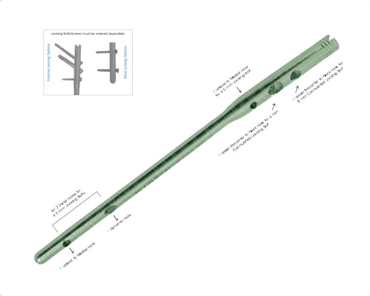 Proximal Femoral Nail (PFN) Hlavní obrázek produktu