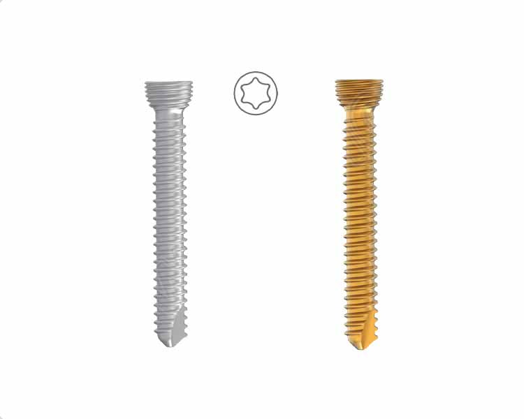 Safety Lock Screw Ø2.7MM Variable Angle (Star Like), Self Tapping Hlavní obrázek produktu