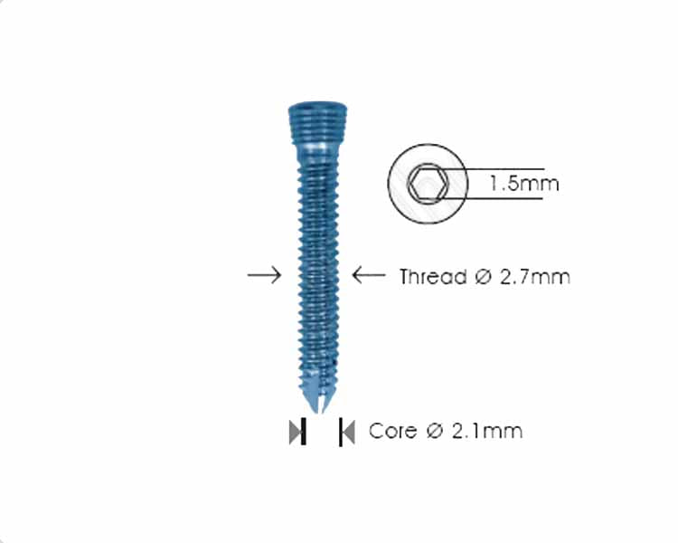 Safety Lock Screw Ø 2.7mm Self Tapping Hlavní obrázek produktu