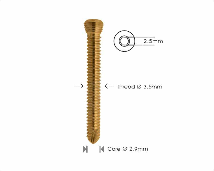 Safety Lock Screw Ø 3.5mm Self Tapping