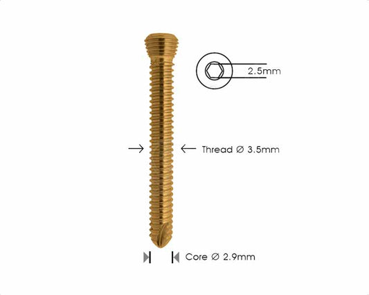 Safety Lock Screw Ø 3.5mm Self Tapping