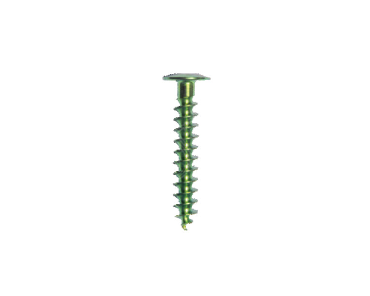 Tibial Post Fixation Screw 6.5 Mm - Titanium