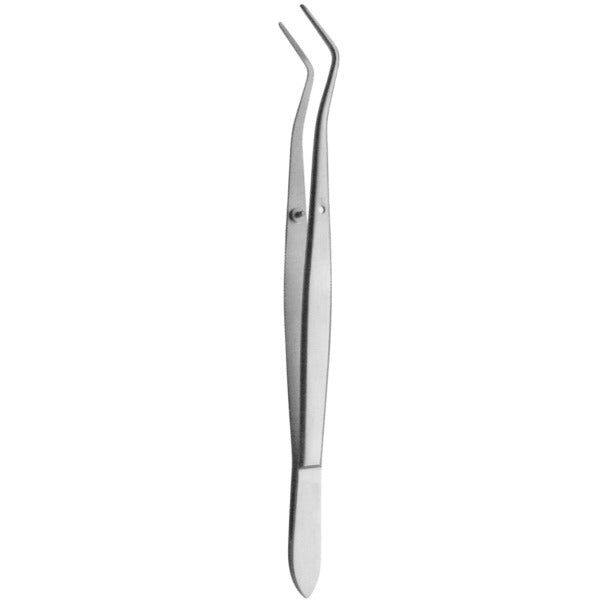 Dressing Tweezer 14cm Curved Image principale du produit