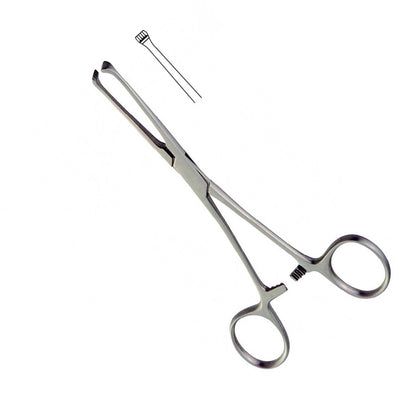 Allis Tissue Forceps