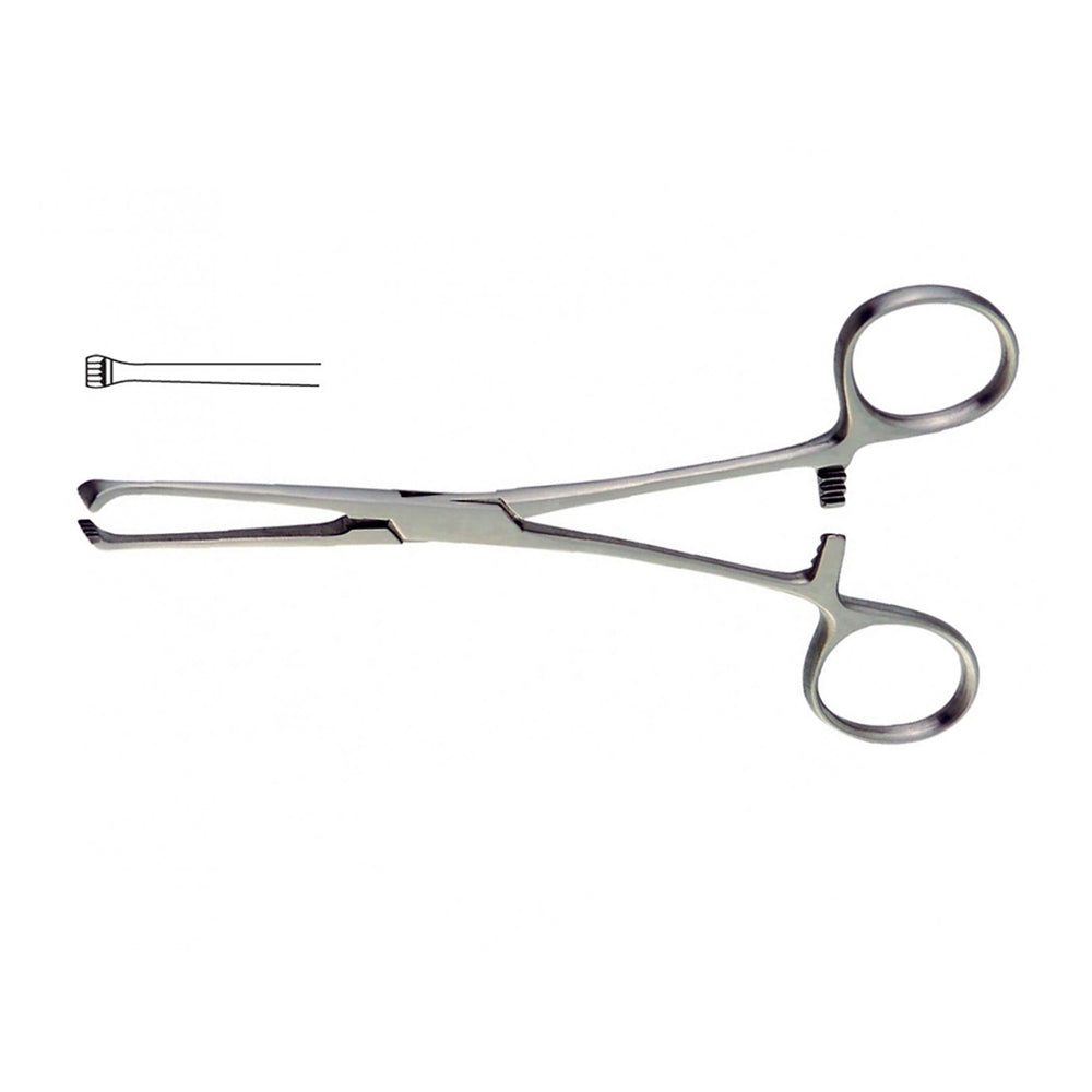 Allis Tissue Forceps