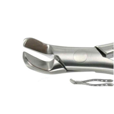 American Extraction Forceps