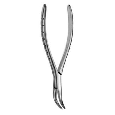 American pattern root extraction forceps for veterinary dental use