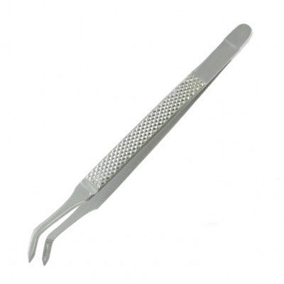 American pattern extraction tweezer forceps dental instrument