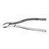 products/american-pattern-forceps-premolars-veterinary-surgical-instrument.jpg