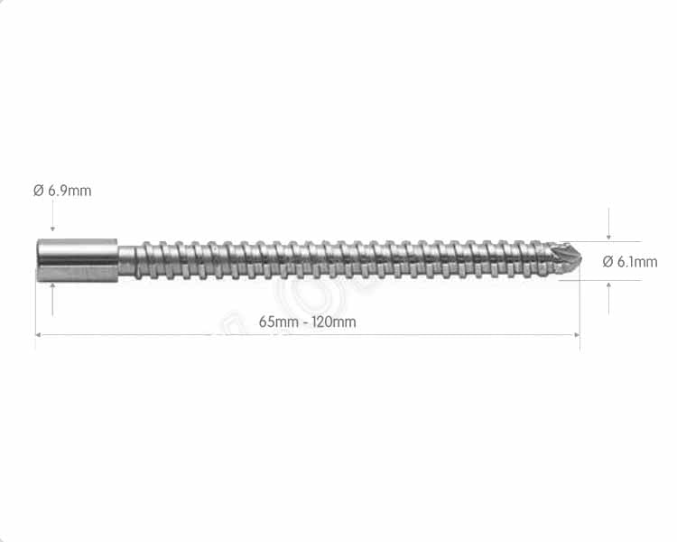 Astute Hip Fracture Nail Compression Screws Imagine principală a produsului