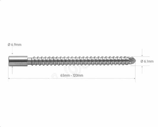 Astute Hip Fracture Nail Compression Screws