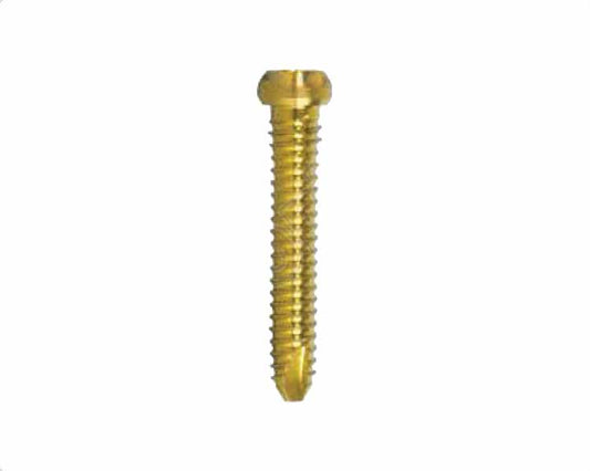 Astute Hip Fracture Nail Locking Screws Ø5.0mm