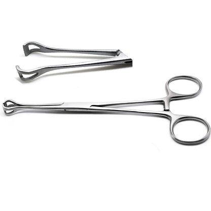 Pinza Babcock 9" Strumento Chirurgico Veterinario E Ginecologico, Marca ODM, Made In Pakistan, Nuovo - Foto 3