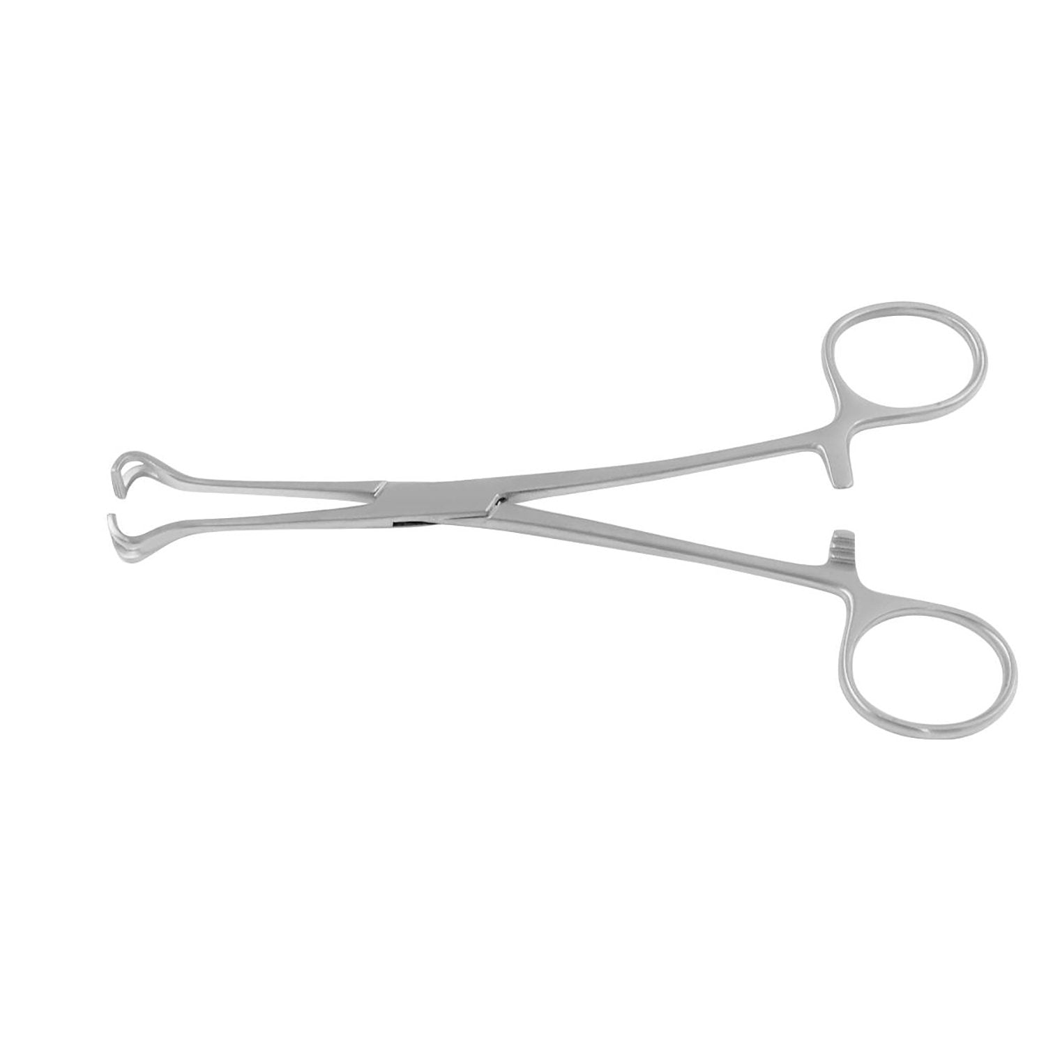 Babcock Tissue Holding Forceps Hoofdafbeelding