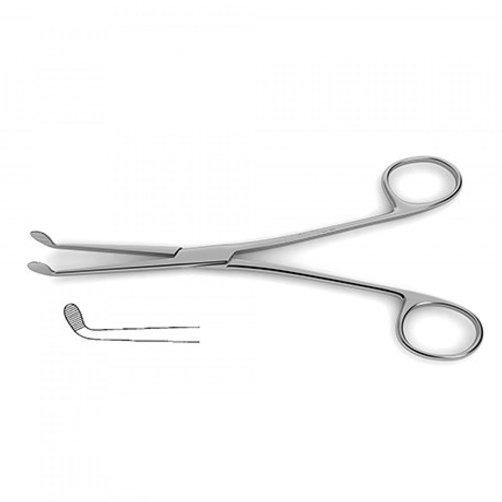 Bengola Forceps Curved Image principale du produit