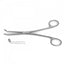 Bengola Forceps Curved