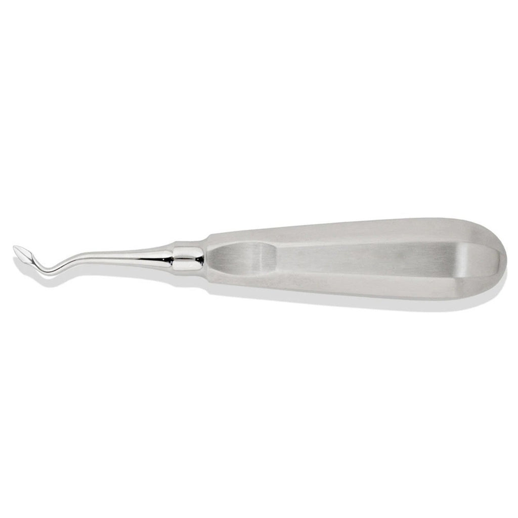 Bernard Root Tip Elevator Right