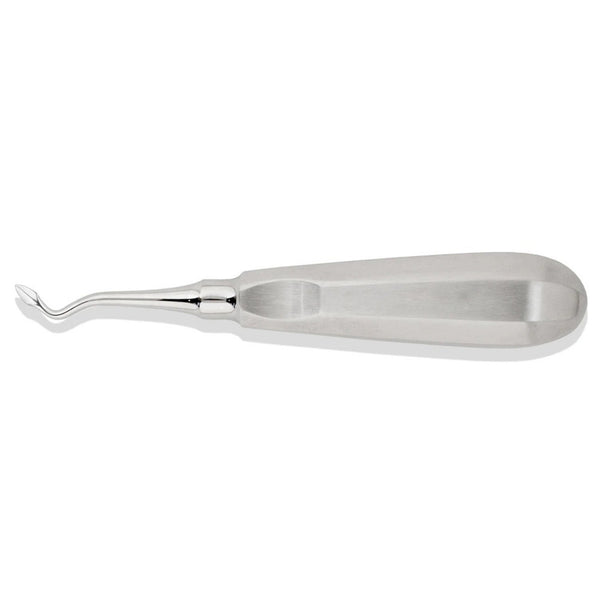 Bernard Root Tip Elevator Right