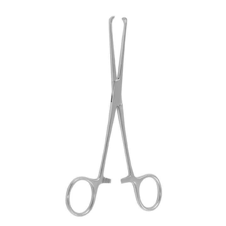 Boys-allis Tissue Holding Forceps