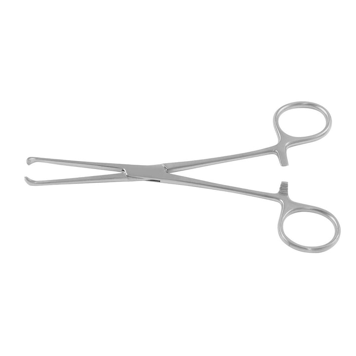 Boys-allis Tissue Holding Forceps