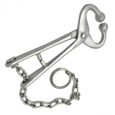 Bull Lead with Chain no Hooks