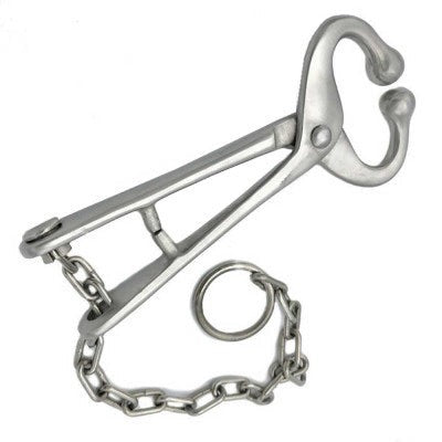 Bull lead with chain no hooks for livestock handling