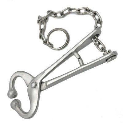 Bull lead with chain no hooks for livestock handling