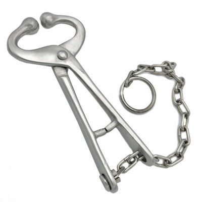 Bull lead with chain no hooks for livestock handling
