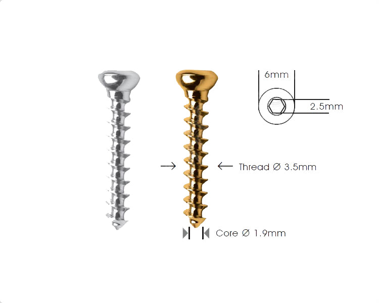 Cancellous Bone Screw Ø 3.5mm Imagine principală a produsului