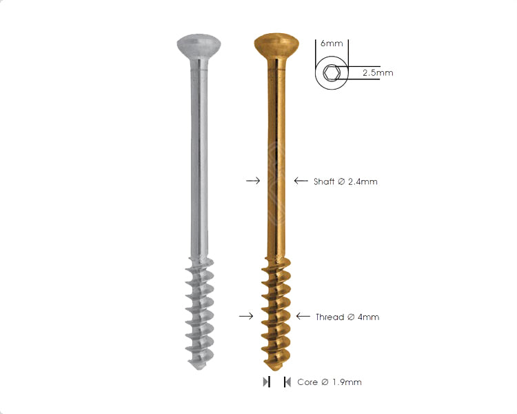 Cancellous Bone Screw Ø 4.0mm Short-thread Imagen principal del producto
