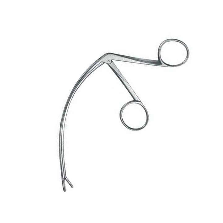 Carroll Tendon Retriever