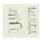 Chin Augmentation Set - Walter Set
