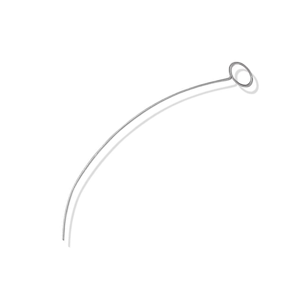 Cleaning Stylet