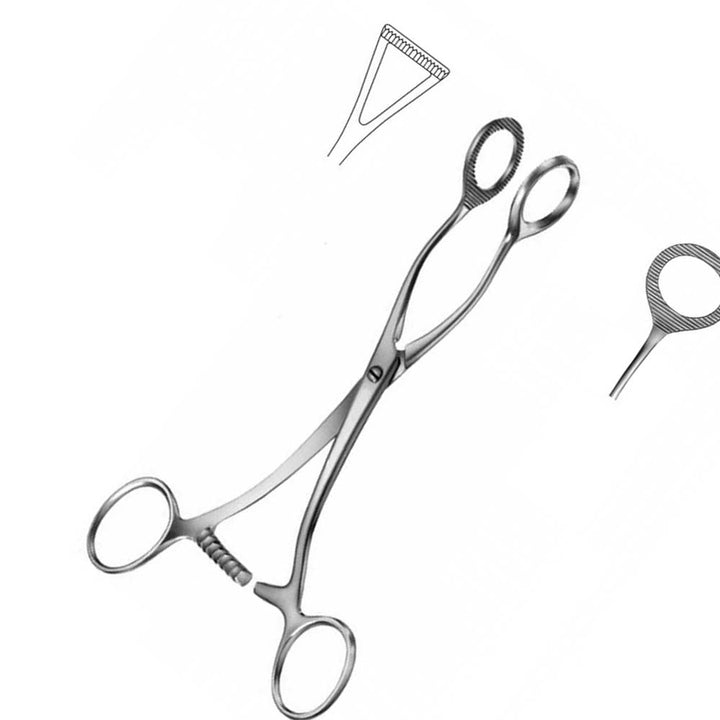 Collins Tissue Seizing Forceps 15cm