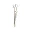 Cottle Columella Forceps