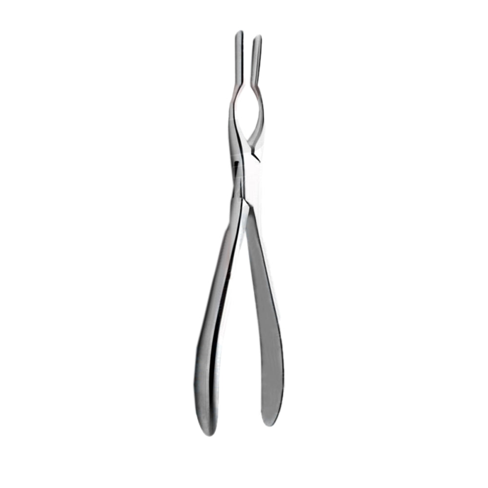 Cottle-Walsham Septum