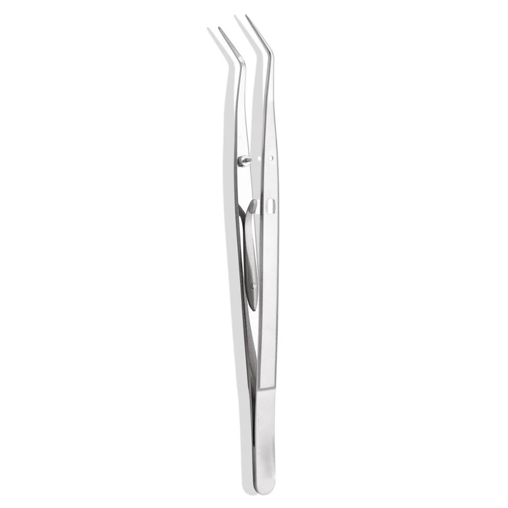 Cotton Pliers Back Angled