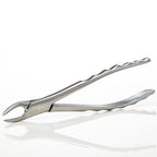 Dental Extraction Forceps