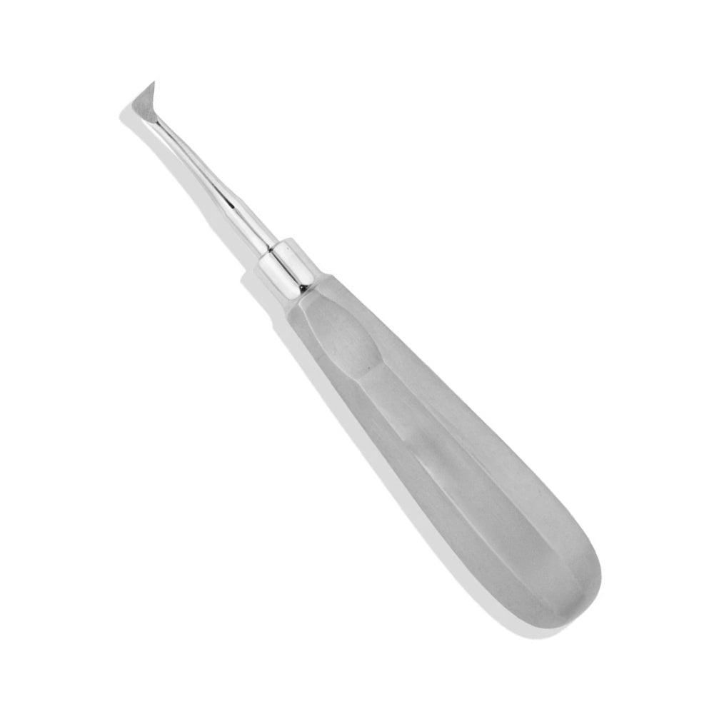 Zubní elevátor Seldin pravý 19cm Doplňkový obrázek produktu